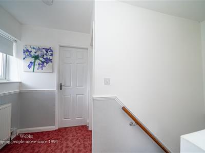 Picture 28